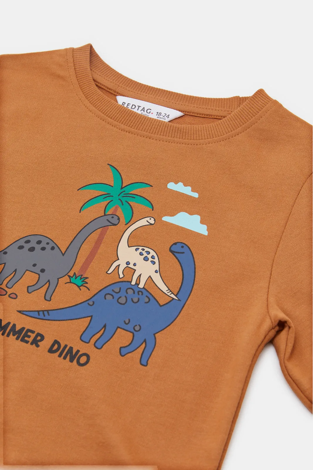 Infant Boys Brown Dino Print Sweatshirt