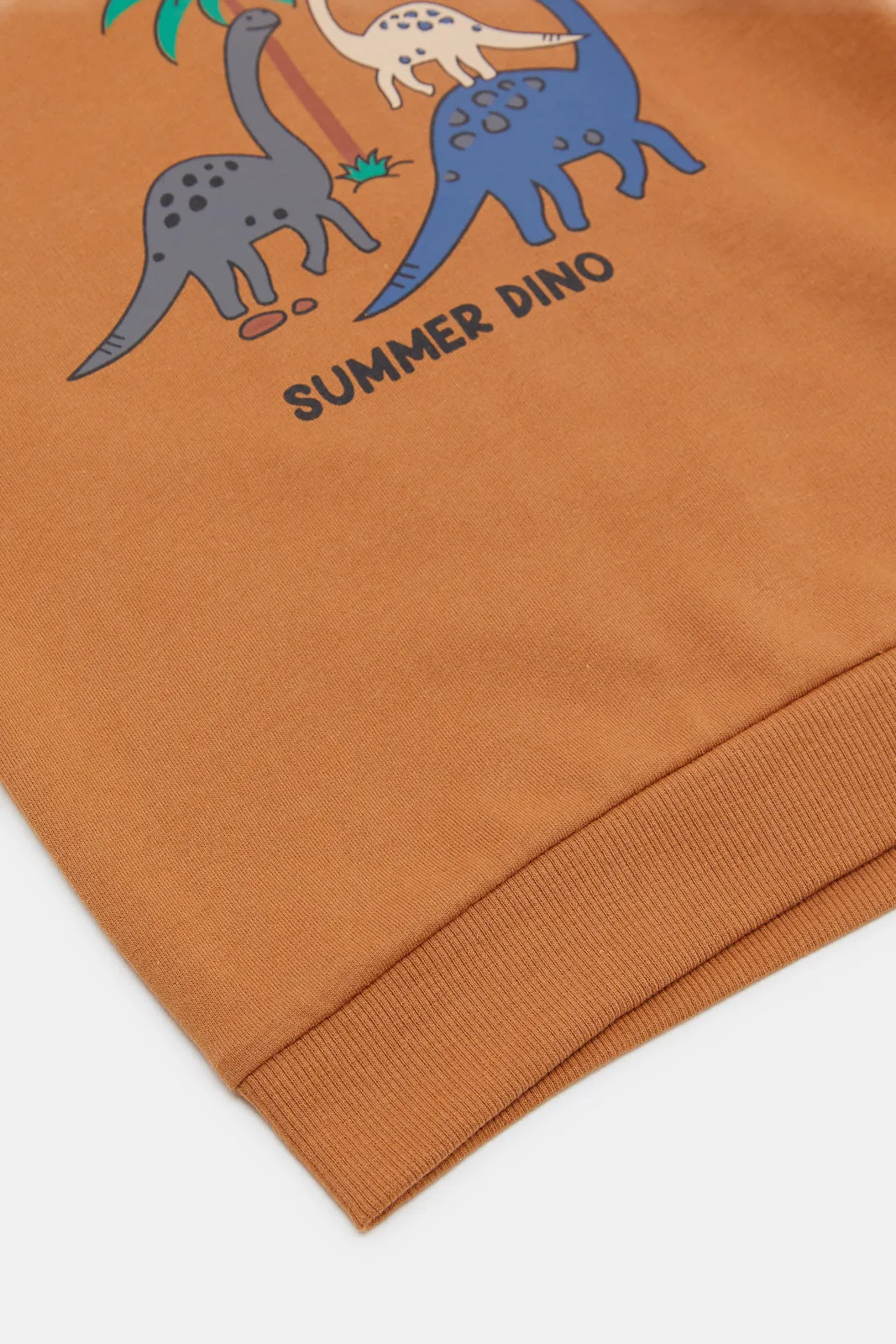 Infant Boys Brown Dino Print Sweatshirt